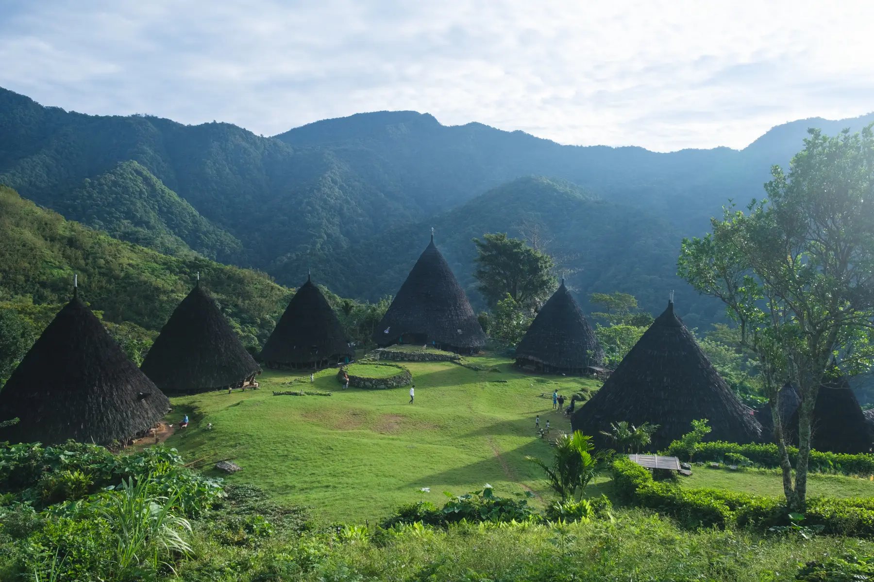 Rice Terraces in Indonesia, photograph 2
