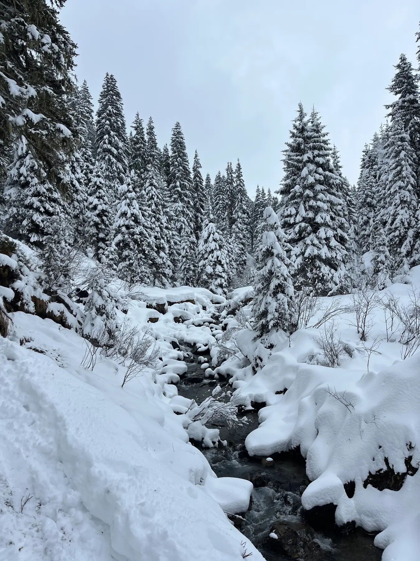 Fresh Snow in Powder Day - Hochfuegen, photograph 3