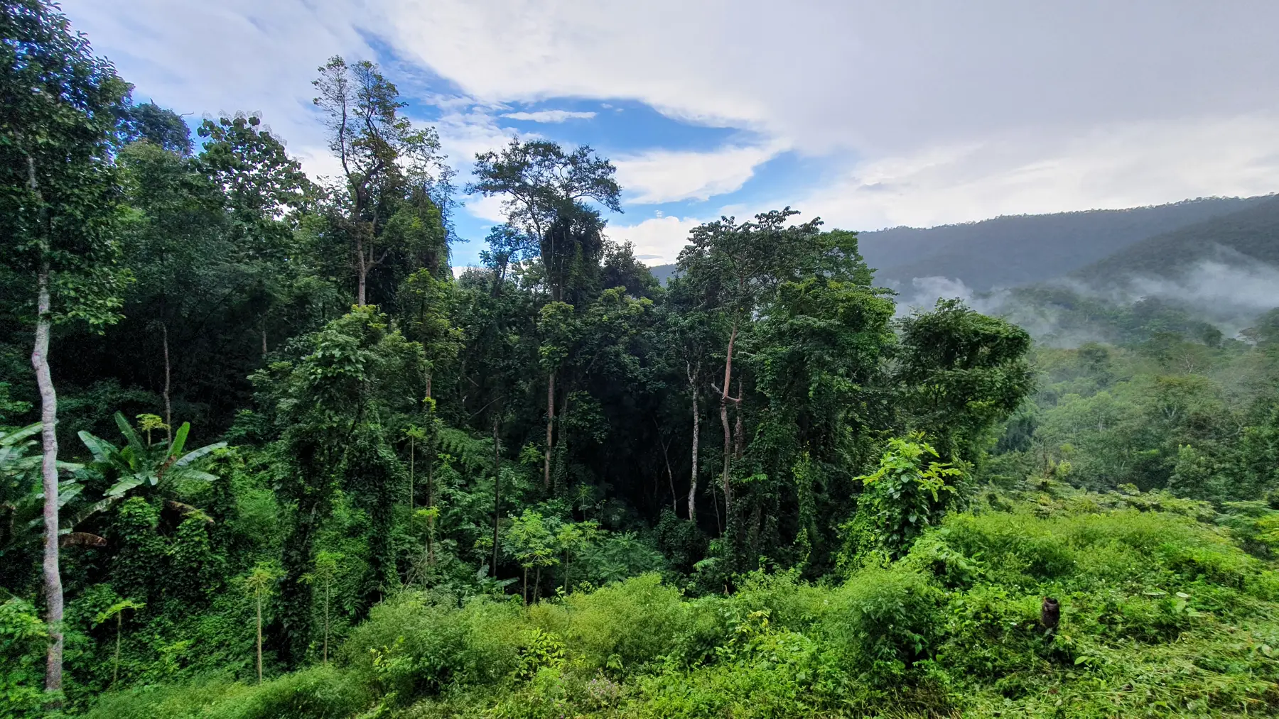 Water & Nature in Thailand, photograph 1